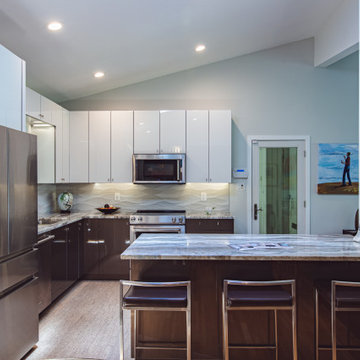 Mid-century Modern Kitchen Remodel for Lake House in Falls Church, VA