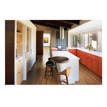 Mid Century Modern Kitchen Remodel