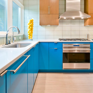 Mid-Century Modern Kitchen with Greenfield Cabinetry