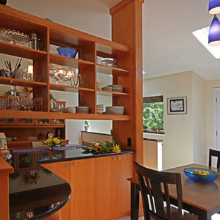 Mid-Century Modern Ranch Kitchen Remodel