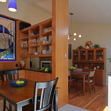 Mid-Century Modern Ranch Kitchen Remodel