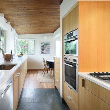 Mid Century Modern Remodel