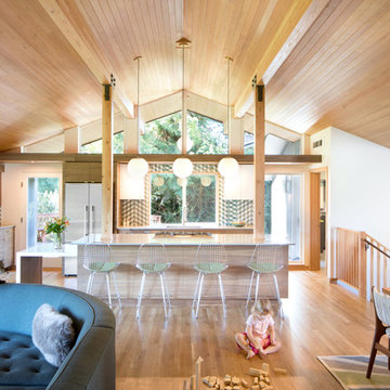 Mid-Century Raised Ranch Remodel