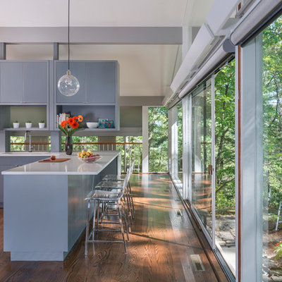 Small 1950s l-shaped dark wood floor eat-in kitchen photo in Boston with a single-bowl sink, flat-panel cabinets, gray cabinets, quartz countertops, stainless steel appliances and an island