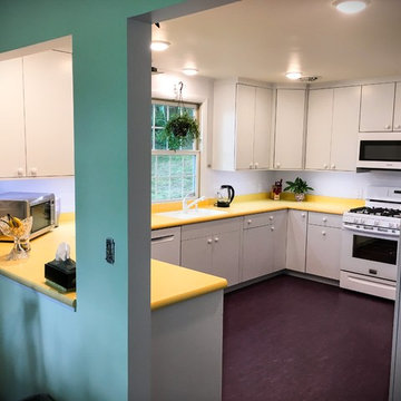 MidCentury colorful