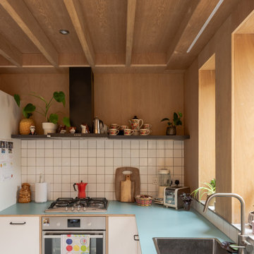 Midcentury Kitchen