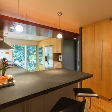 Midcentury Modern Addition & Renovation