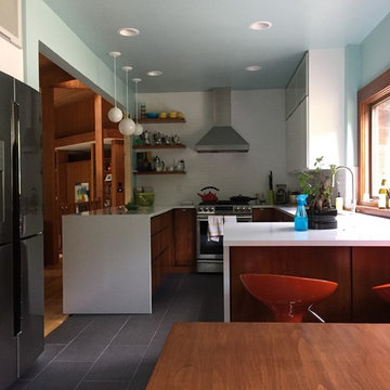 Midcentury modern kitchen remodel