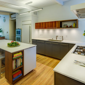 MidCentury Modern Passive House