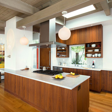 Midcentury Modern Remodel
