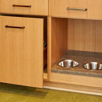 Midcentury Modern St. Matthews Kitchen