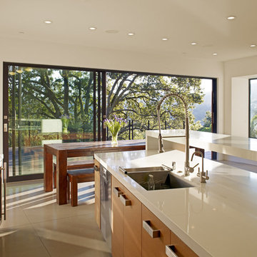 Mill Valley Contemporary KITCHEN DINING INDOOR OUTDOOR
