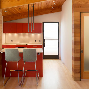 Mill Valley Modern Guest House & Garage Addition