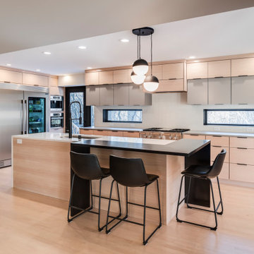 Minimalist Modern Kitchen