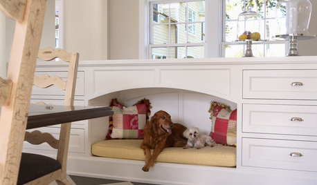 12 Character-Filled Spaces for Pets in the Home
