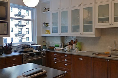 Kitchen - transitional kitchen idea in New York