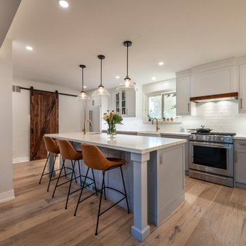 Mississauga Kitchen and Main floor Reno