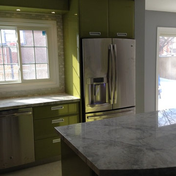 Mississauga Residence- Kitchen & Main Floor Renovation