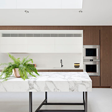 Mixed Use House