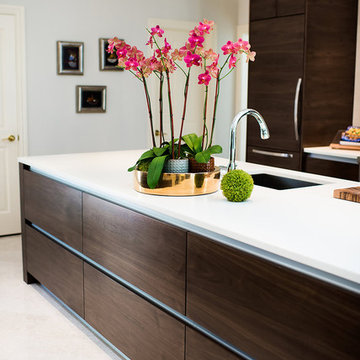 Moden Walnut