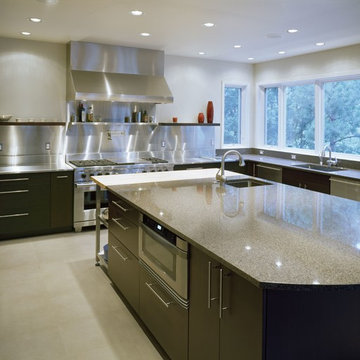Modern and Transitional Kitchens