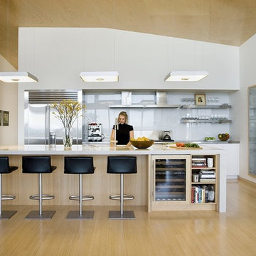 Modern Beach Home Kitchen