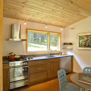 Modern Cabin