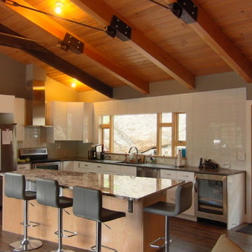 Modern Cabin Renovation
