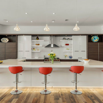 Modern Cabinetry in White  High gloss