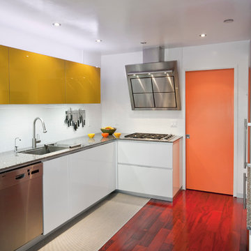 Modern colorful kitchen design