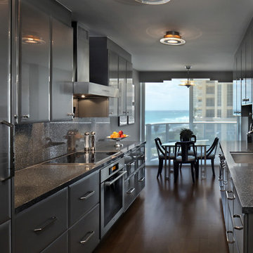Modern Condo Remodel