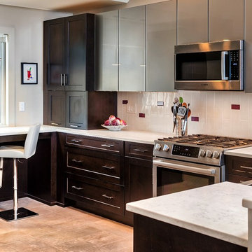 Modern Contemporary Condo