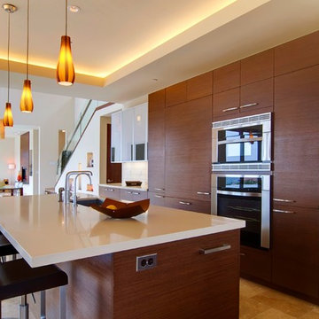 Modern Contemporary Kitchen