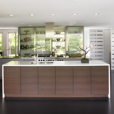 Kitchen - contemporary kitchen idea in Minneapolis with glass-front cabinets and stainless steel appliances