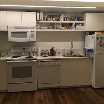 Modern custom german kitchen in San Francisco condo