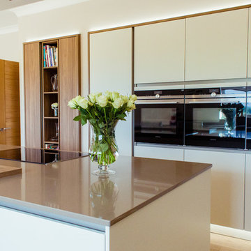 Modern Elegant Kitchen