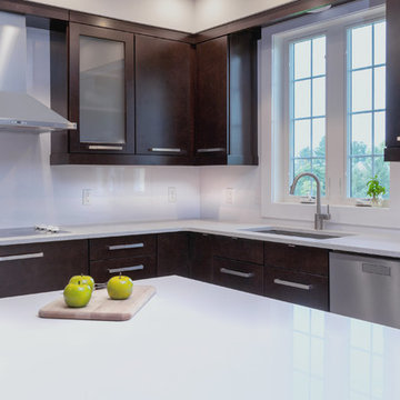 Modern Formal high contrast kitchen design