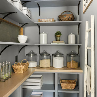 75 Beautiful Modern Kitchen Pantry Pictures Ideas June 2021 Houzz
