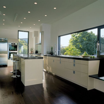 Modern Functional Kitchen in Los Angeles, CA