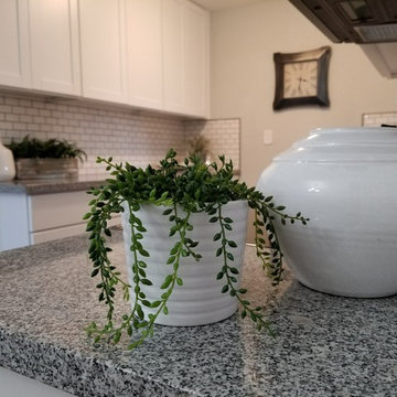 Modern Home Staging
