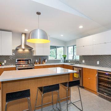 Modern Ikea kitchen - Woodland Hills