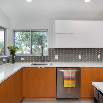 Modern Ikea kitchen - Woodland Hills
