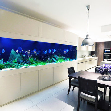 Modern Interior - Iwagumi Aquarium