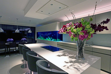 Modern Interior - Iwagumi Aquarium