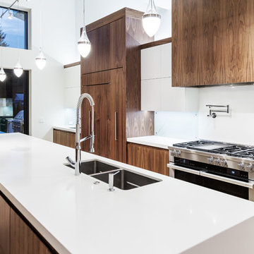 Modern Kitchen #3