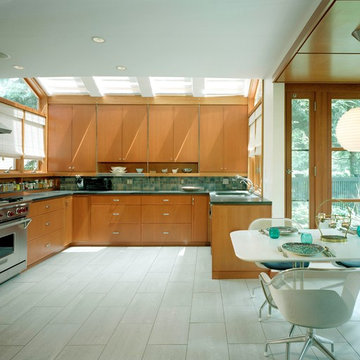 Modern Kitchen Addition