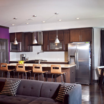 Modern Kitchen and Living Room