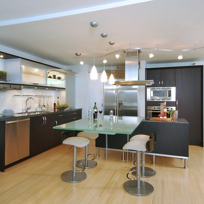 Example of a trendy kitchen design in Hawaii with glass-front cabinets, stainless steel appliances, an undermount sink, dark wood cabinets, glass countertops and glass sheet backsplash