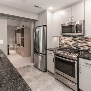 Modern Kitchen, bath and flooring remodel-Arlington Heights, IL.
