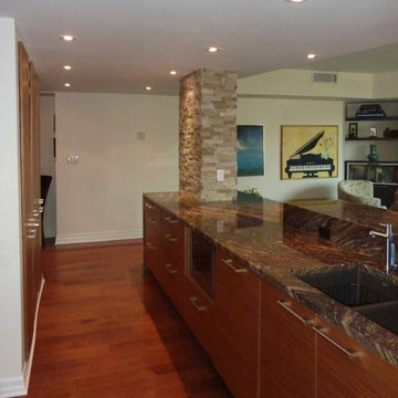 Modern Kitchen